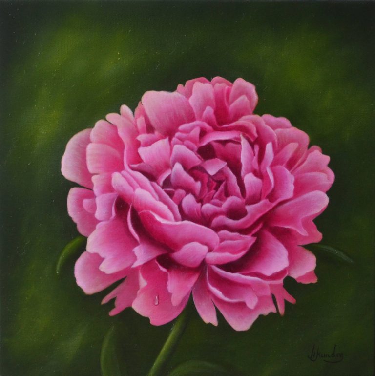 Pink Peony | Margo Munday Fine Art | Classical and Contemporary Acrylic ...