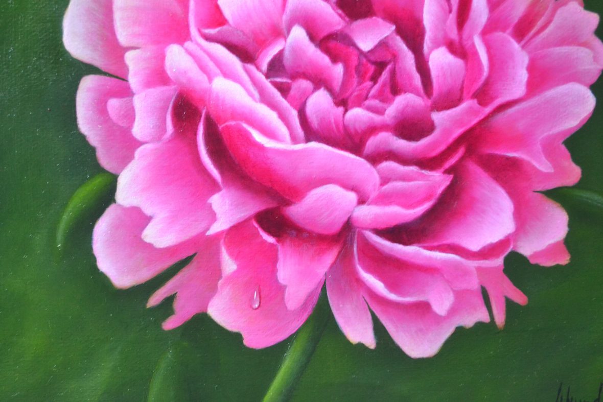 Pink Peony | Margo Munday Fine Art | Classical and Contemporary Acrylic ...