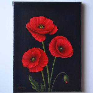 Poppy Red Folk Art Acrylic Paints - 630 - Poppy Red Paint, Poppy